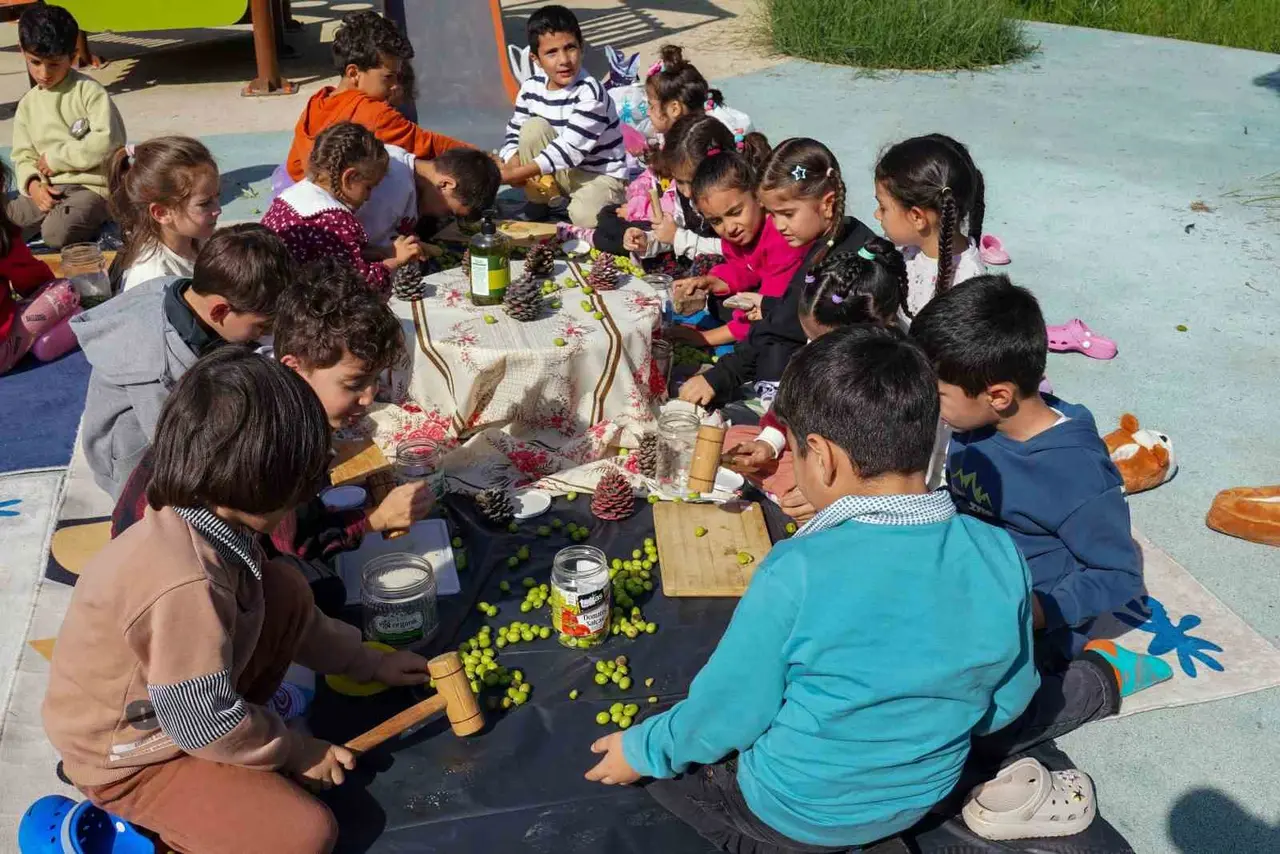 Çocuklar zeytin kırdı, geleneksel üretimle tanıştı