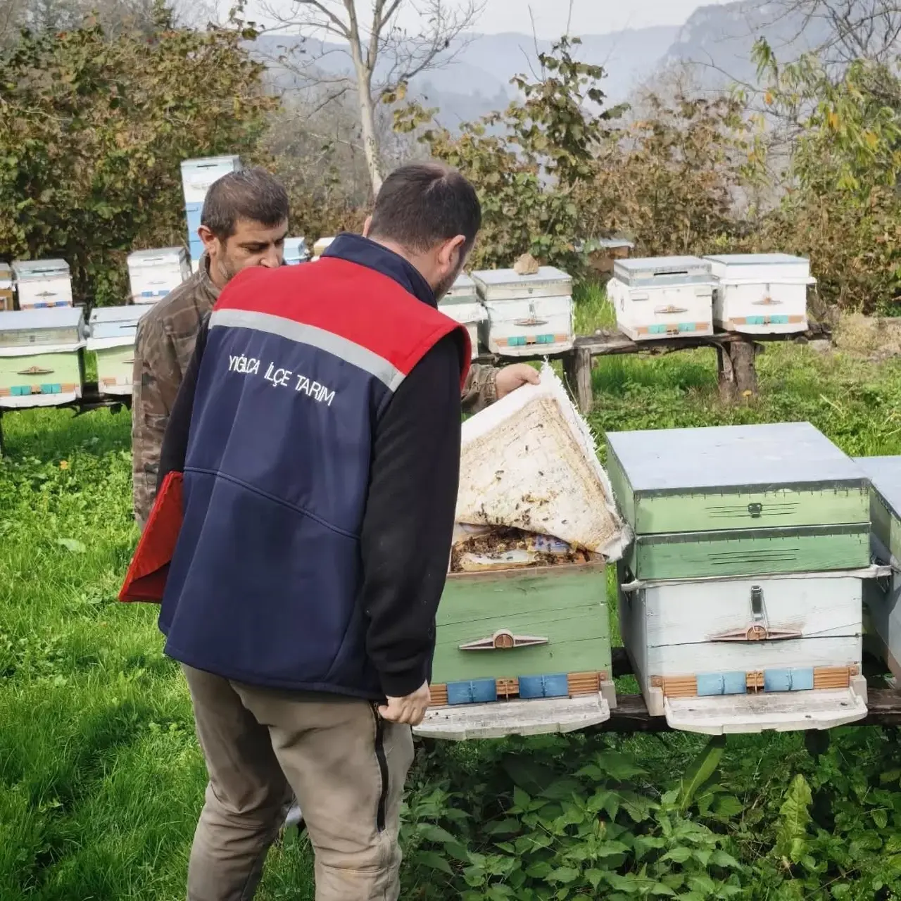 Düzce’de 4 köyde arılı kovan sayımı yapıldı