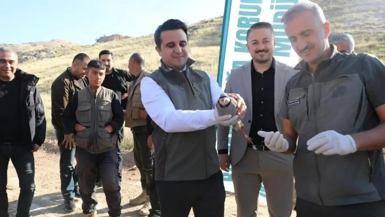 Batman’da 300 keklik doğaya salındı