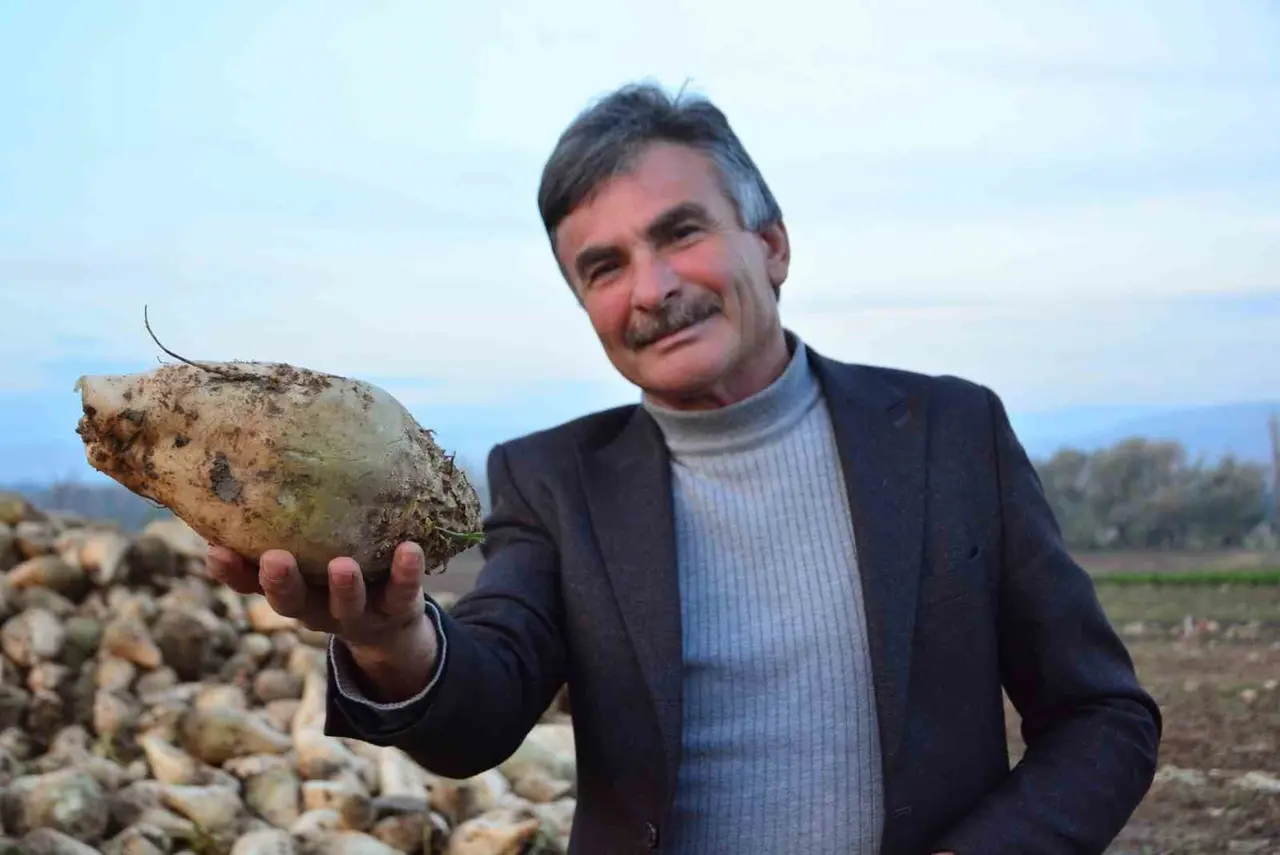 Şeker pancarı üreticisinin sözleri sosyal medyada gündem oldu: "’Ben kazanmıyorum’ diyen çiftçiler külliyen yalan söylüyor"