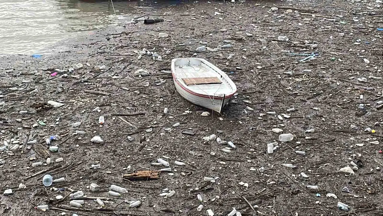 Zonguldak Limanı çöplüğe döndü: Derelerin taşıdığı atıklar deniz yüzeyini kapladı