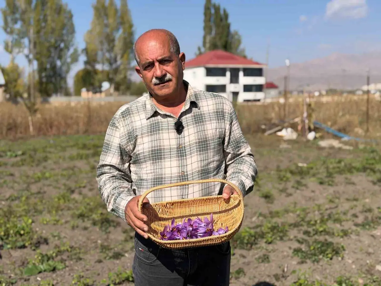 Esnaflığı bıraktı, tarlada serveti buldu: Kilosu 1 milyon lirayı bulan "kırmızı altın" hayatını değiştirdi