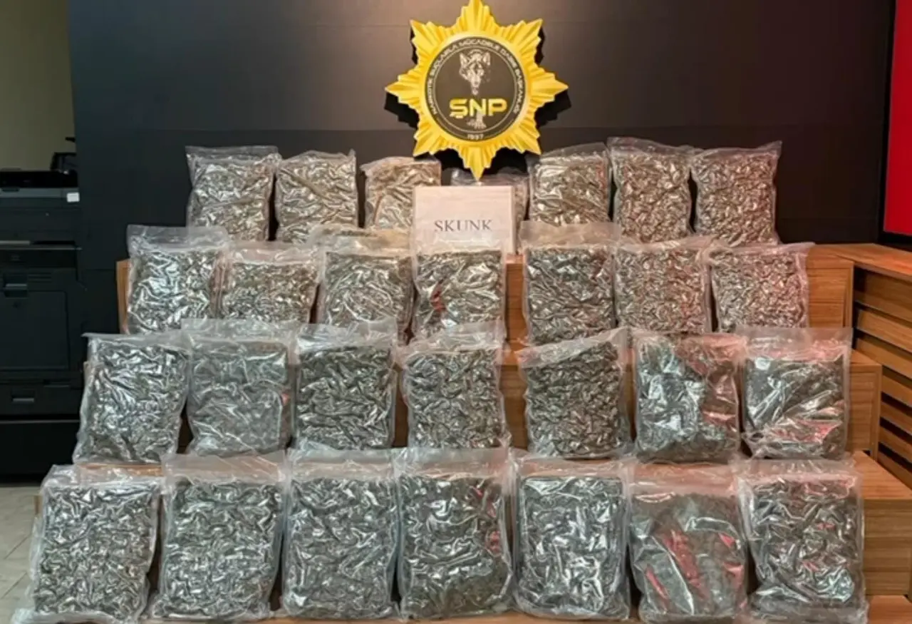 Şanlıurfa’da yolcu otobüsünde 16 kilo 400 gram skunk ele geçirildi