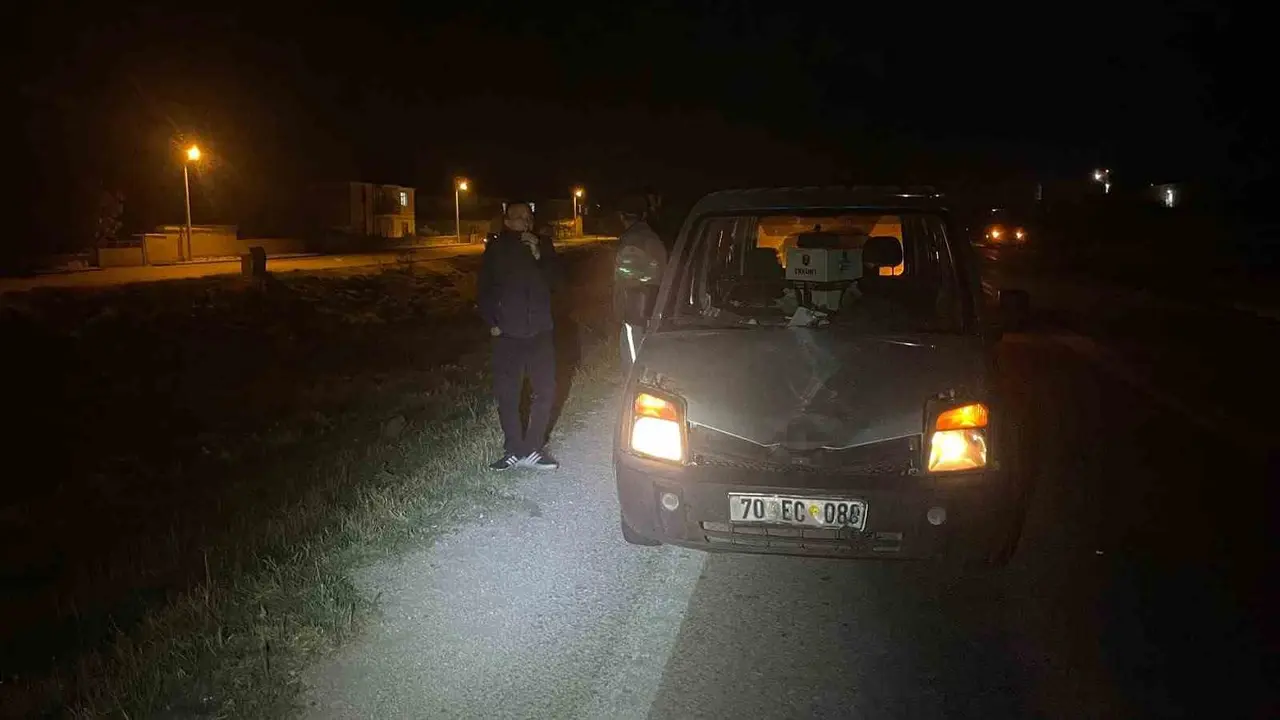 Karaman’da hafif ticari aracın çarptığı eşek telef oldu