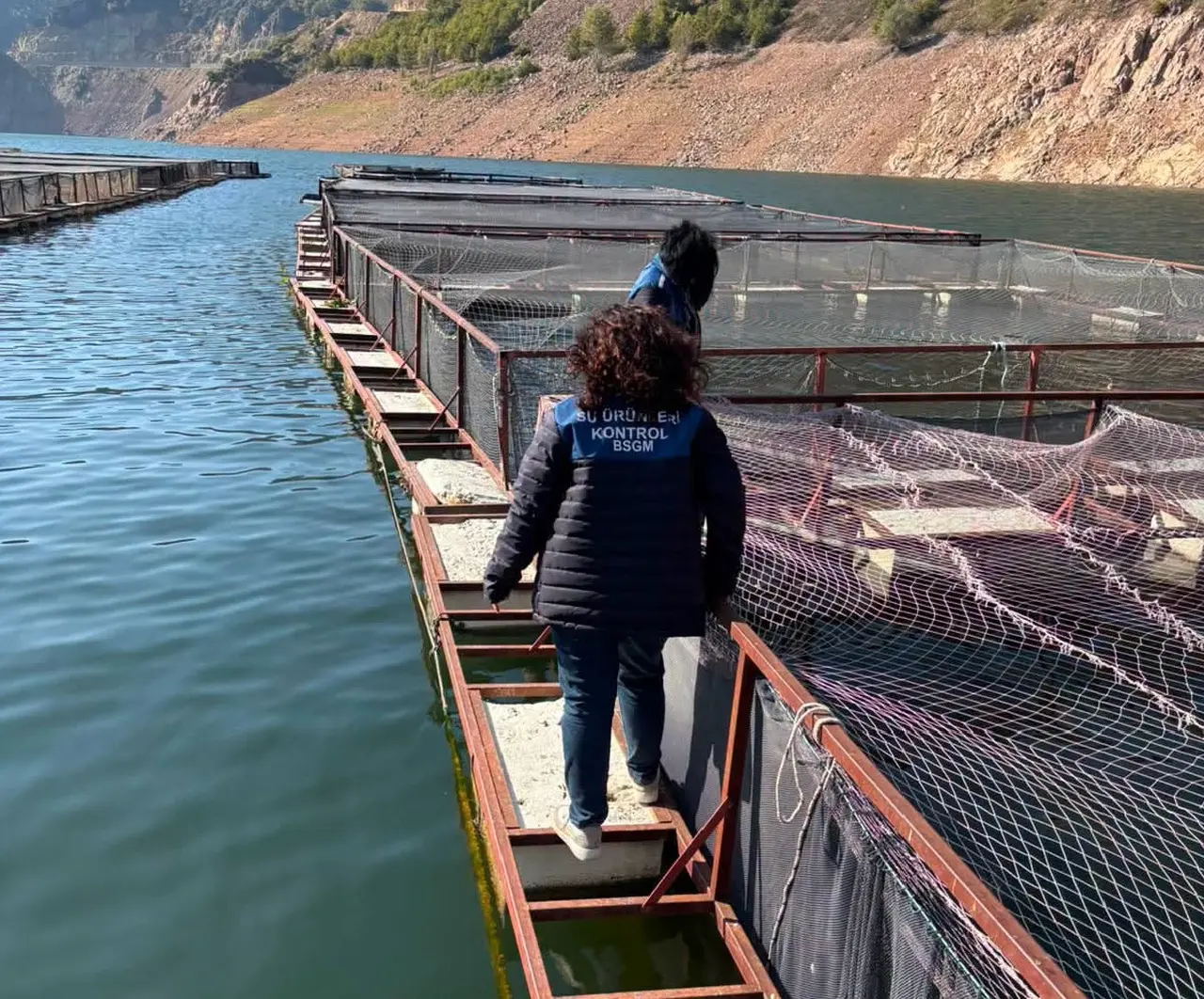 Ordu’da alabalık tesislerine denetim