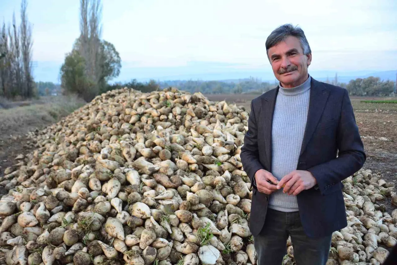 Şeker pancarı üreticisinin sözleri sosyal medyada gündem oldu: "’Ben kazanmıyorum’ diyen çiftçiler külliyen yalan söylüyor"
