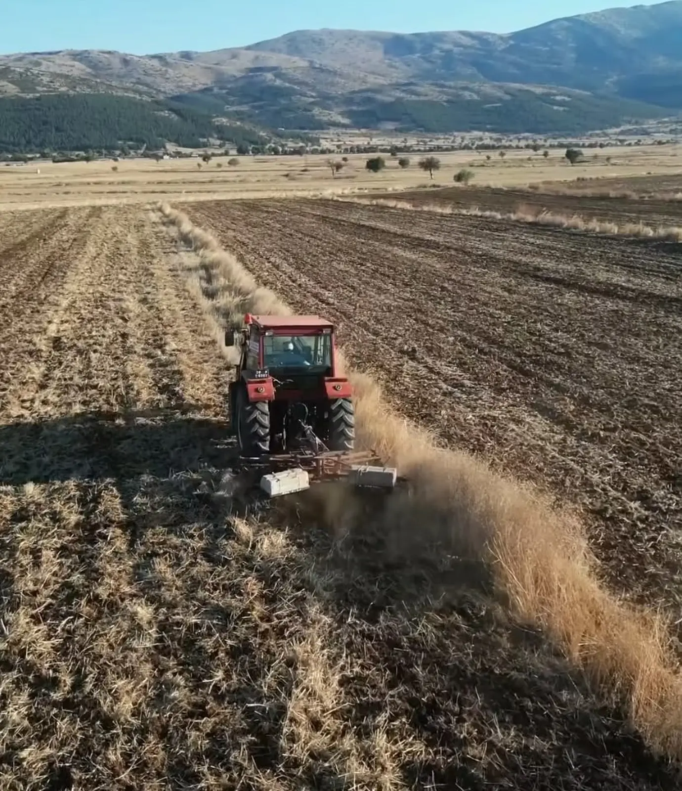 Tavas Belediyesi çiftçiye destek için 480 dekarlık alanda mahsul yetiştirecek