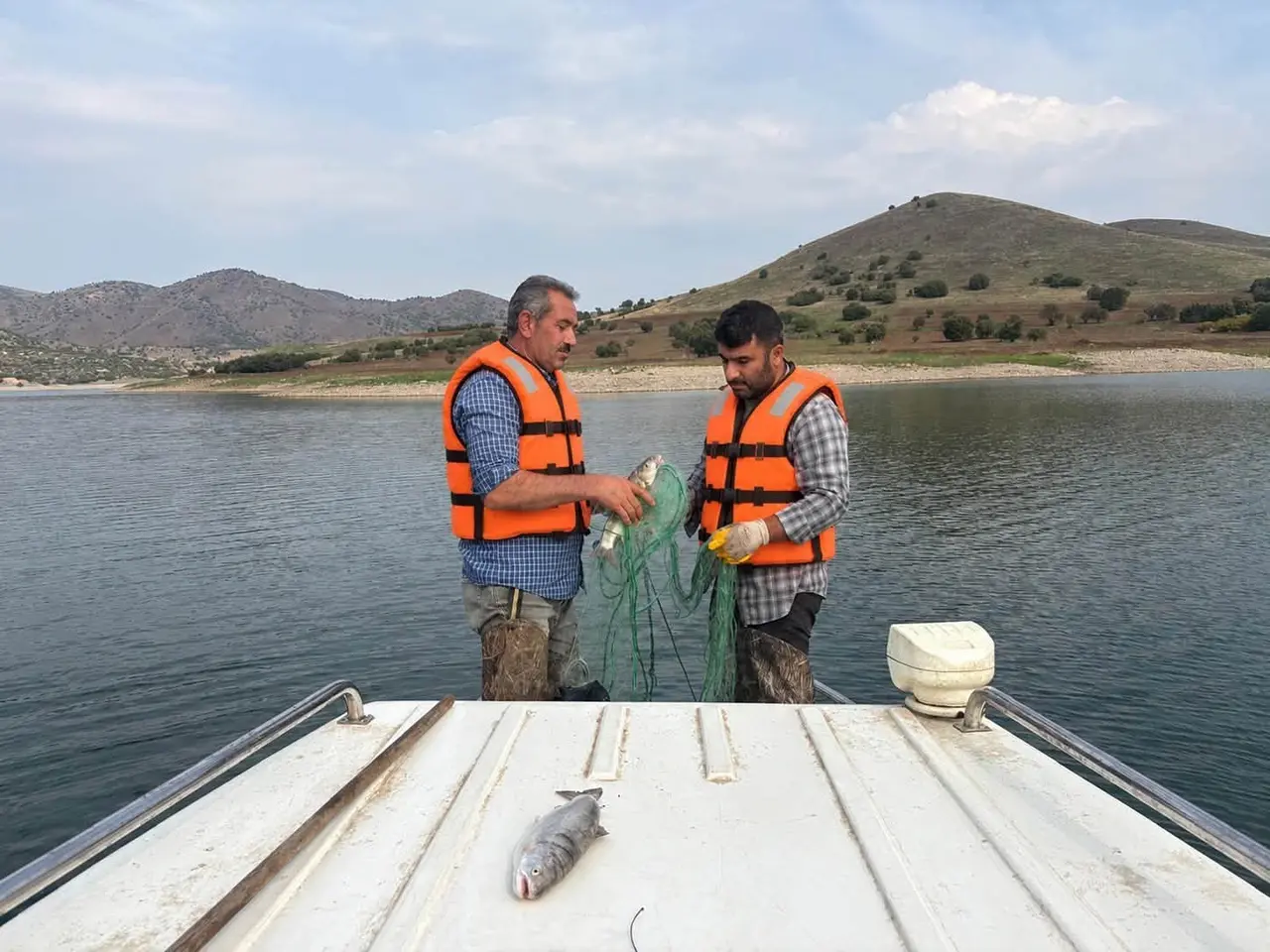 Elazığ’da sonbahar dönemi balık örnekleme çalışmaları
