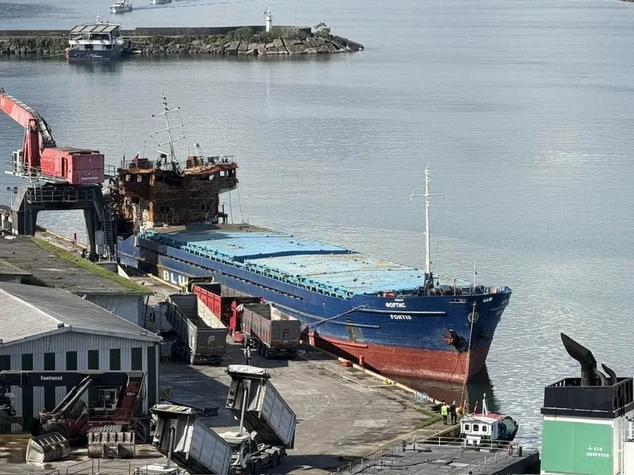 Giresun’da hasarlı gemiden yayılan yanık kokusu endişelendirdi