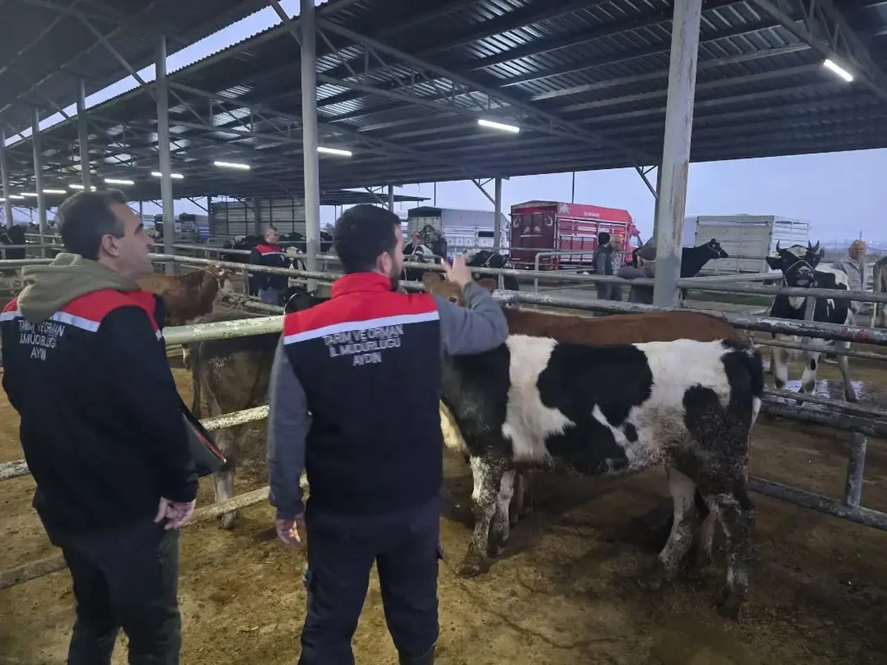 Aydın’da hayvan pazarlarında sıkı denetim
