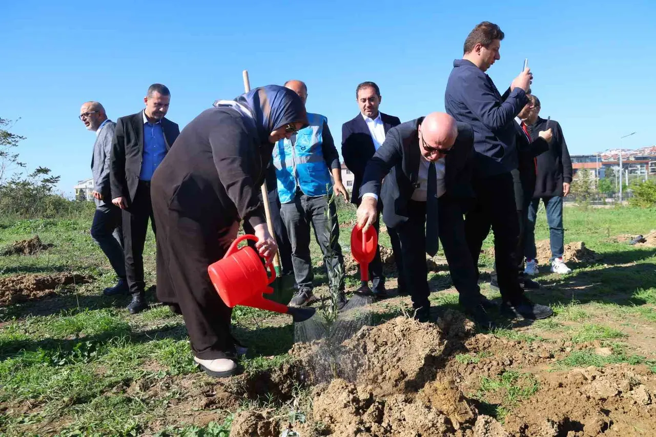 Darıca’da Zeytin Festivali kapsamında 100 fidan dikildi