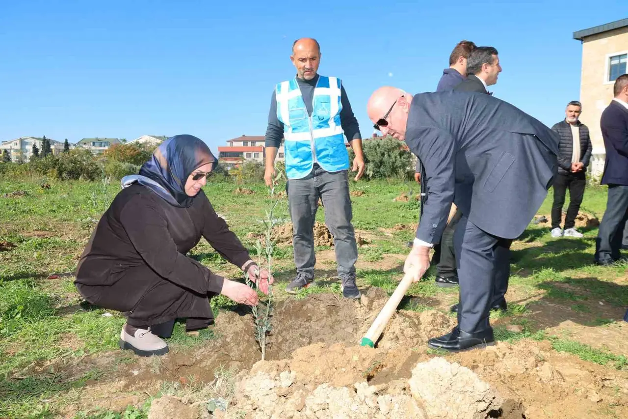 Darıca’da Zeytin Festivali kapsamında 100 fidan dikildi
