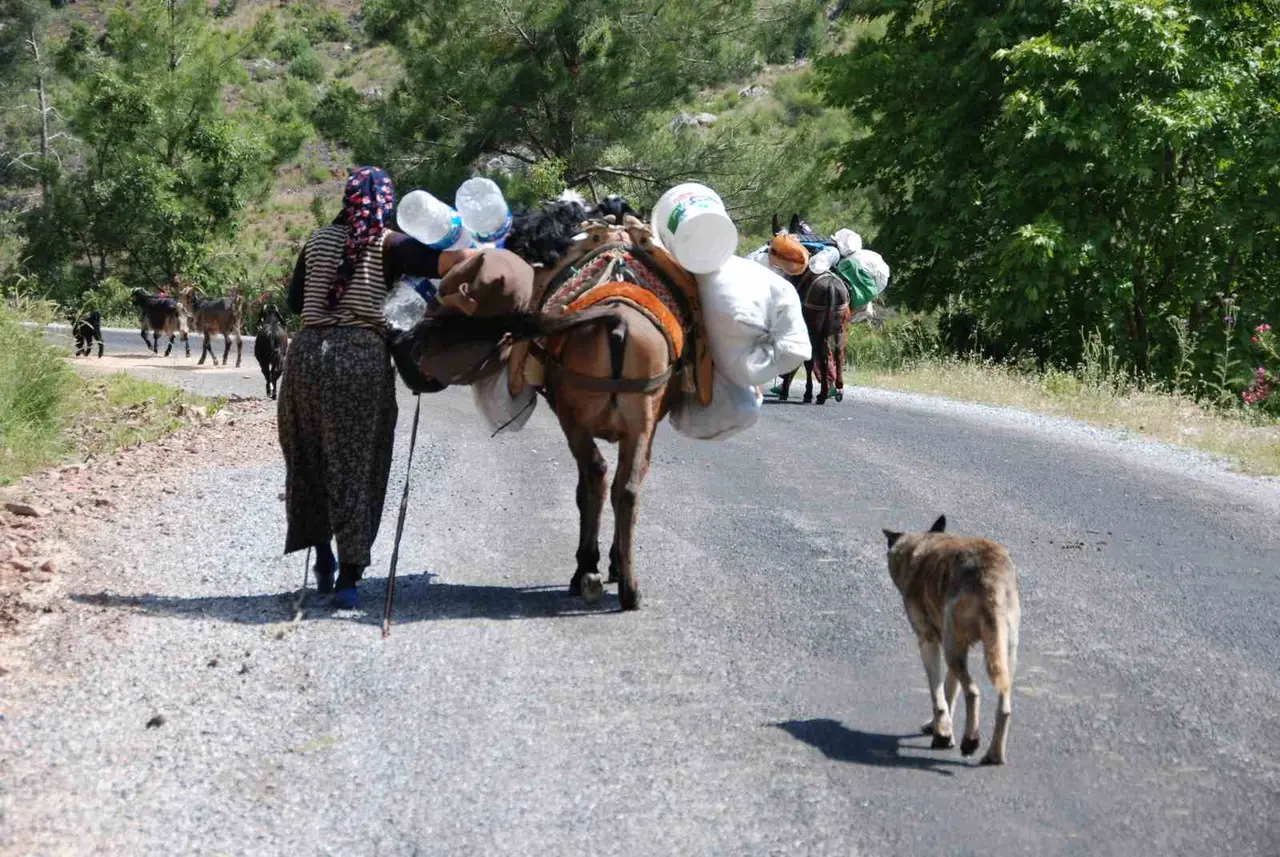 Yörüklerin Toroslar’dan sahile dönüş yolculuğu başladı