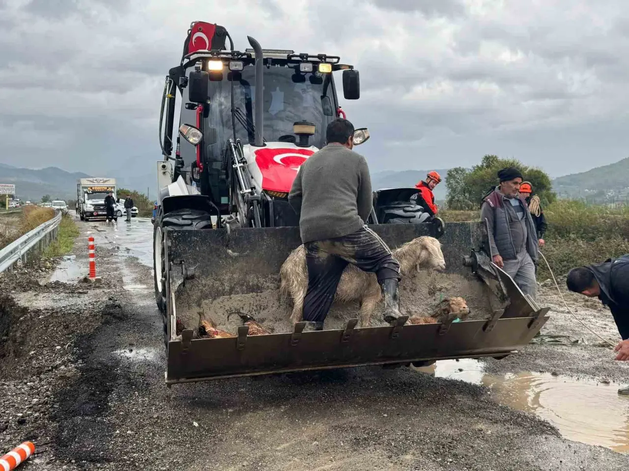 Muğla Dalaman sele teslim oldu