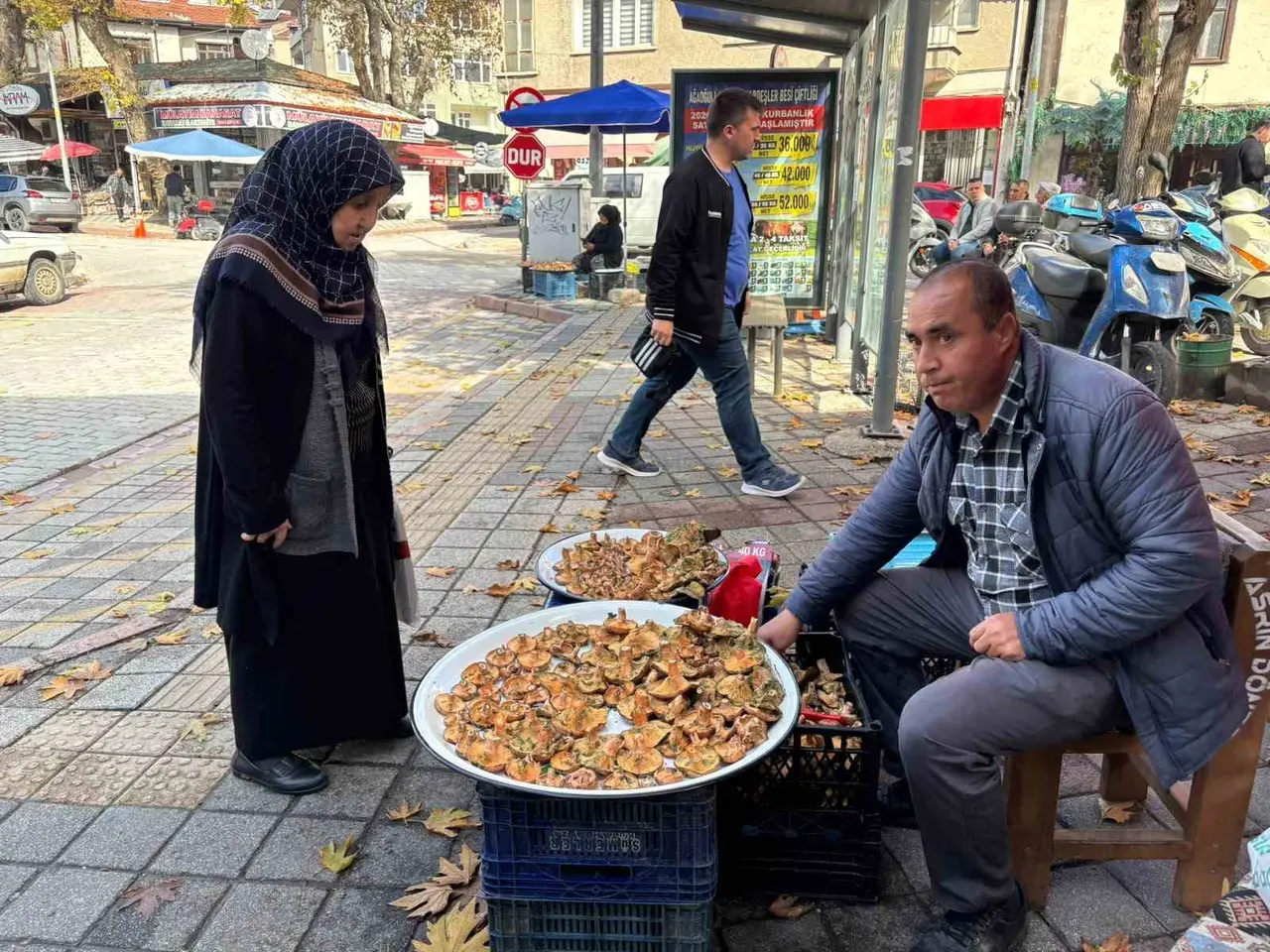 Tavşanlı’da melki mantarı hareketliliği başladı