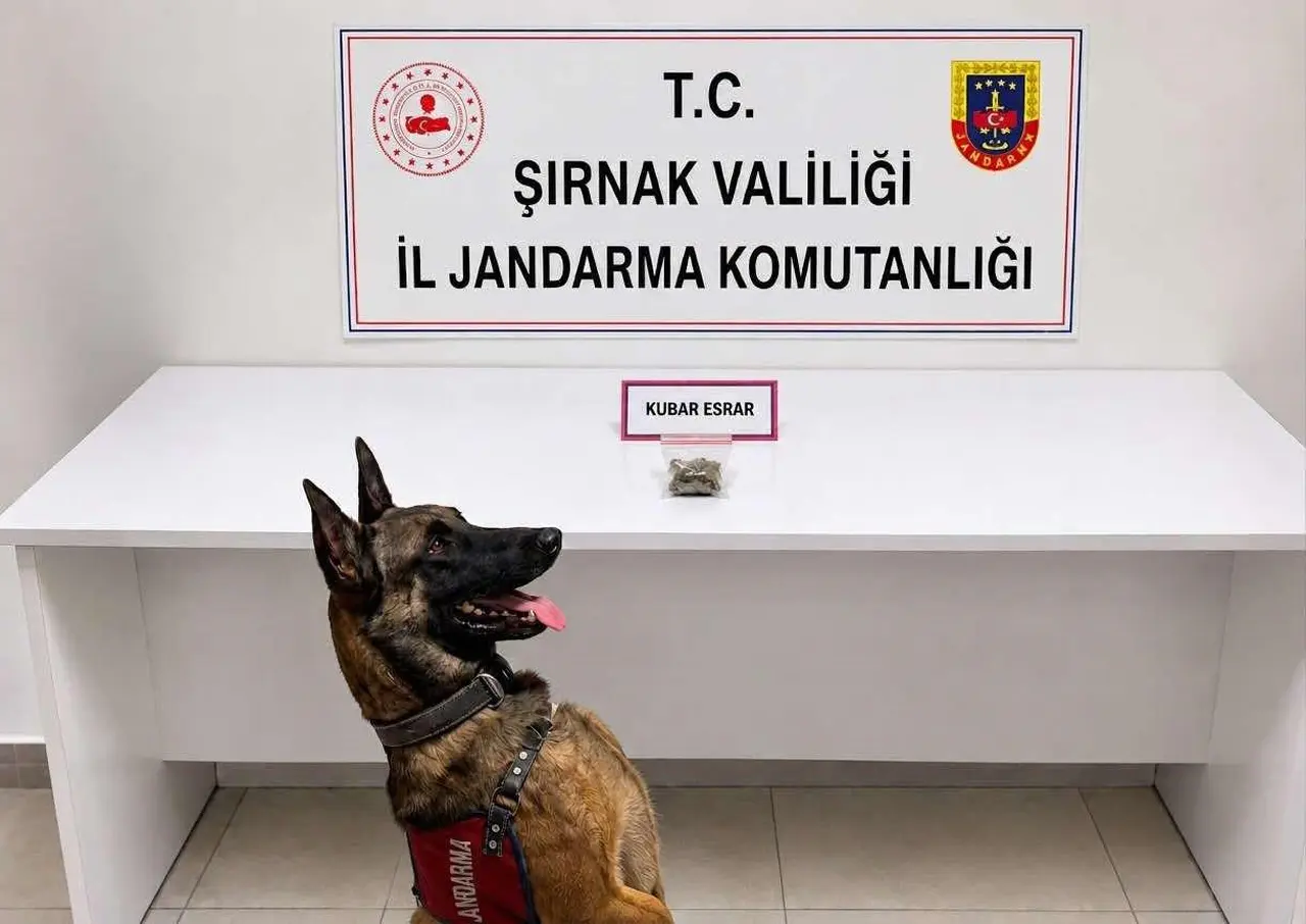 Şırnak’ta jandarmadan uyuşturucu ve aranan şahıslara operasyon: 12 tutuklama
