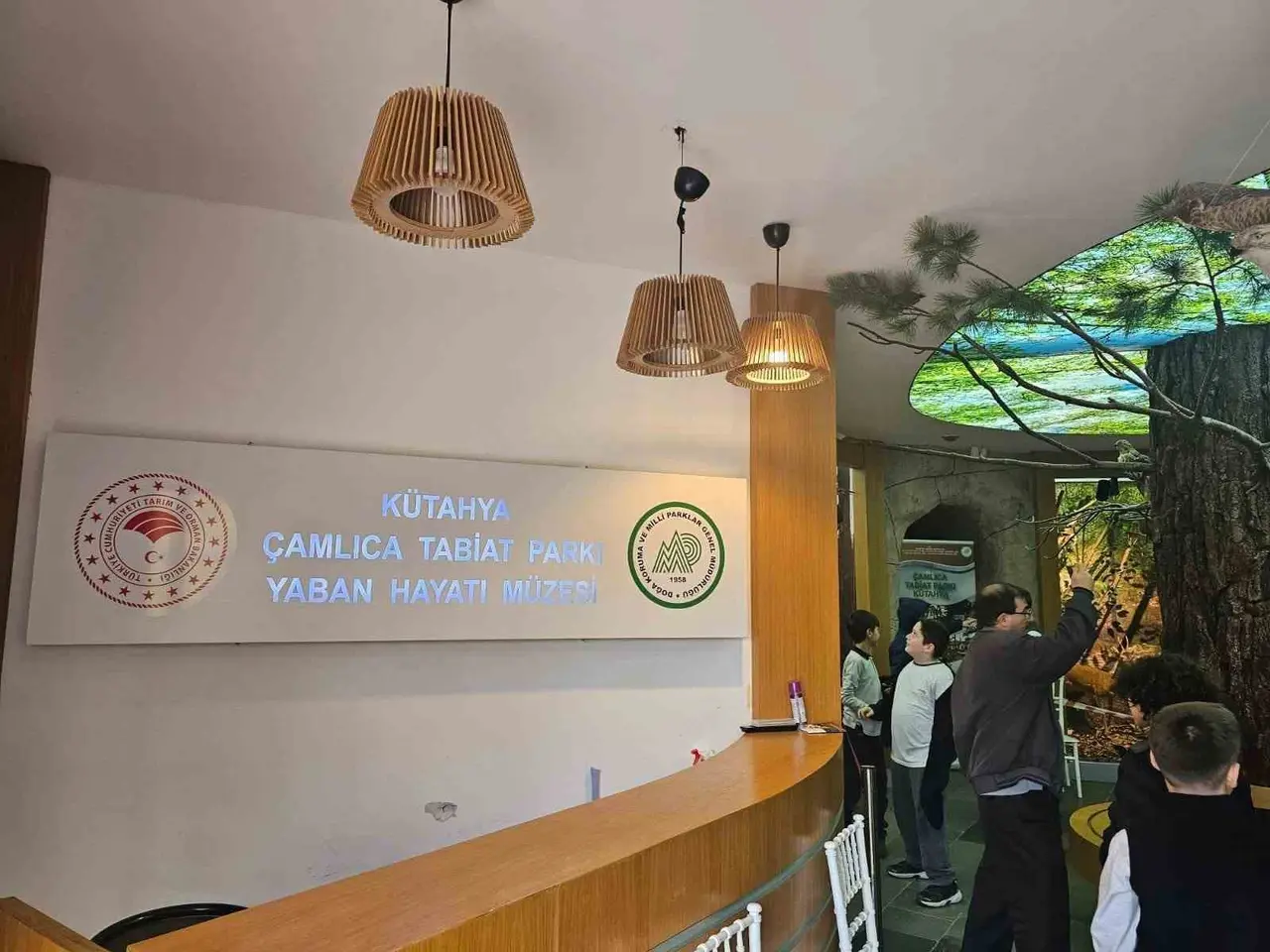 Kütahya Çamlıca Tabiat Parkı’nda öğrencilere doğa eğitimi