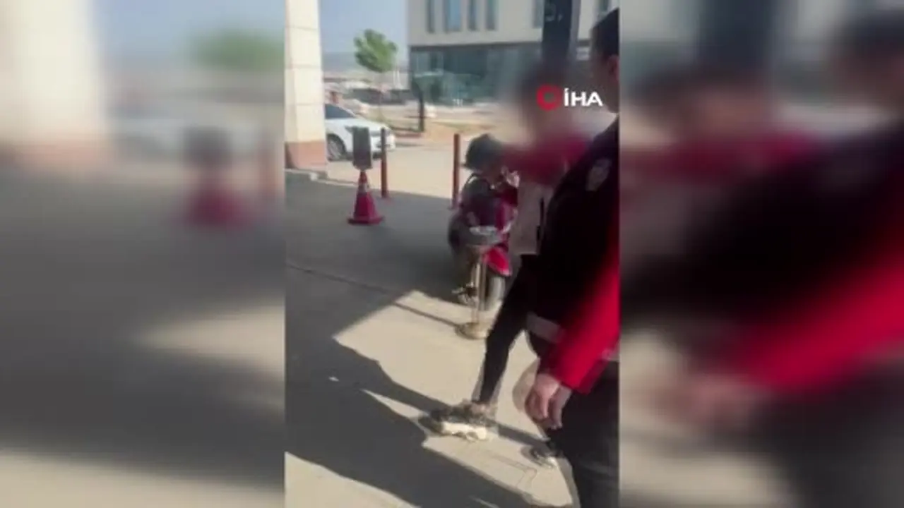 Kediye taşla vuran kadın yakalandı