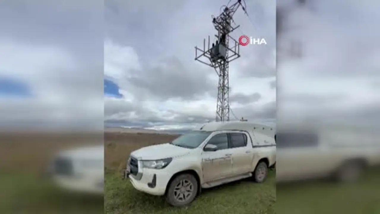 Erzurum’da elektrik direğine çıkan yavru bozayı akıma kapılarak telef oldu