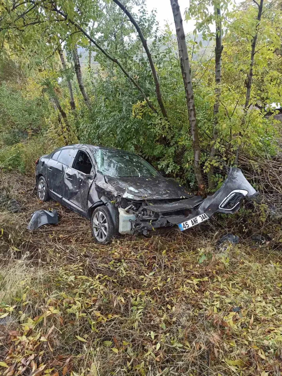 Bingöl’de trafik kazası: 2 yaralı