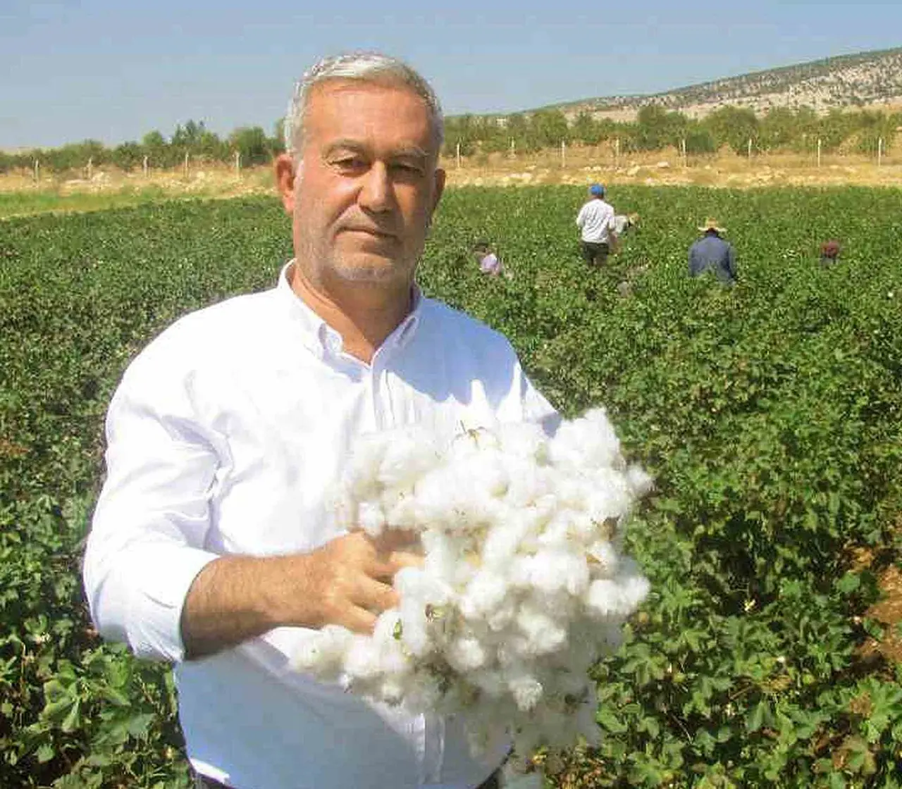 Araban ÇUKOBİRLİK 2026-2027 yılı pamuk alım fiyatlarını açıkladı