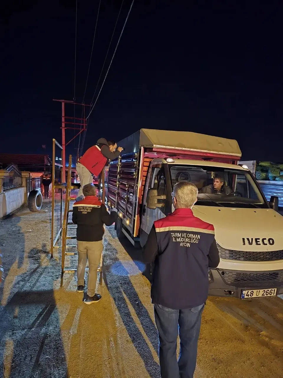 Aydın’da hayvan pazarında sıkı denetim