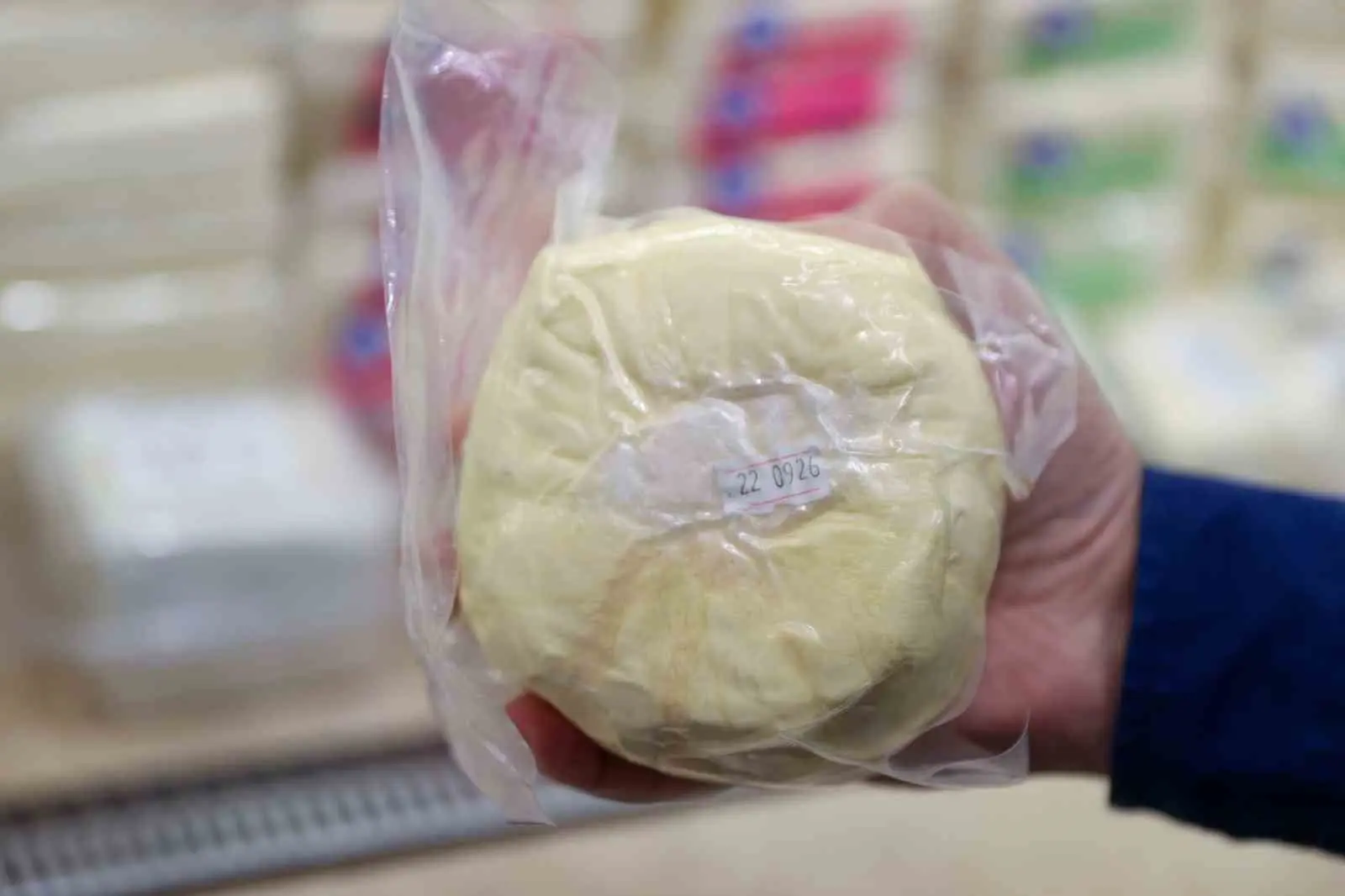 Vatandaşın sağlığıyla oynuyorlar: 109,5 kilogram süt ürünü imha edildi