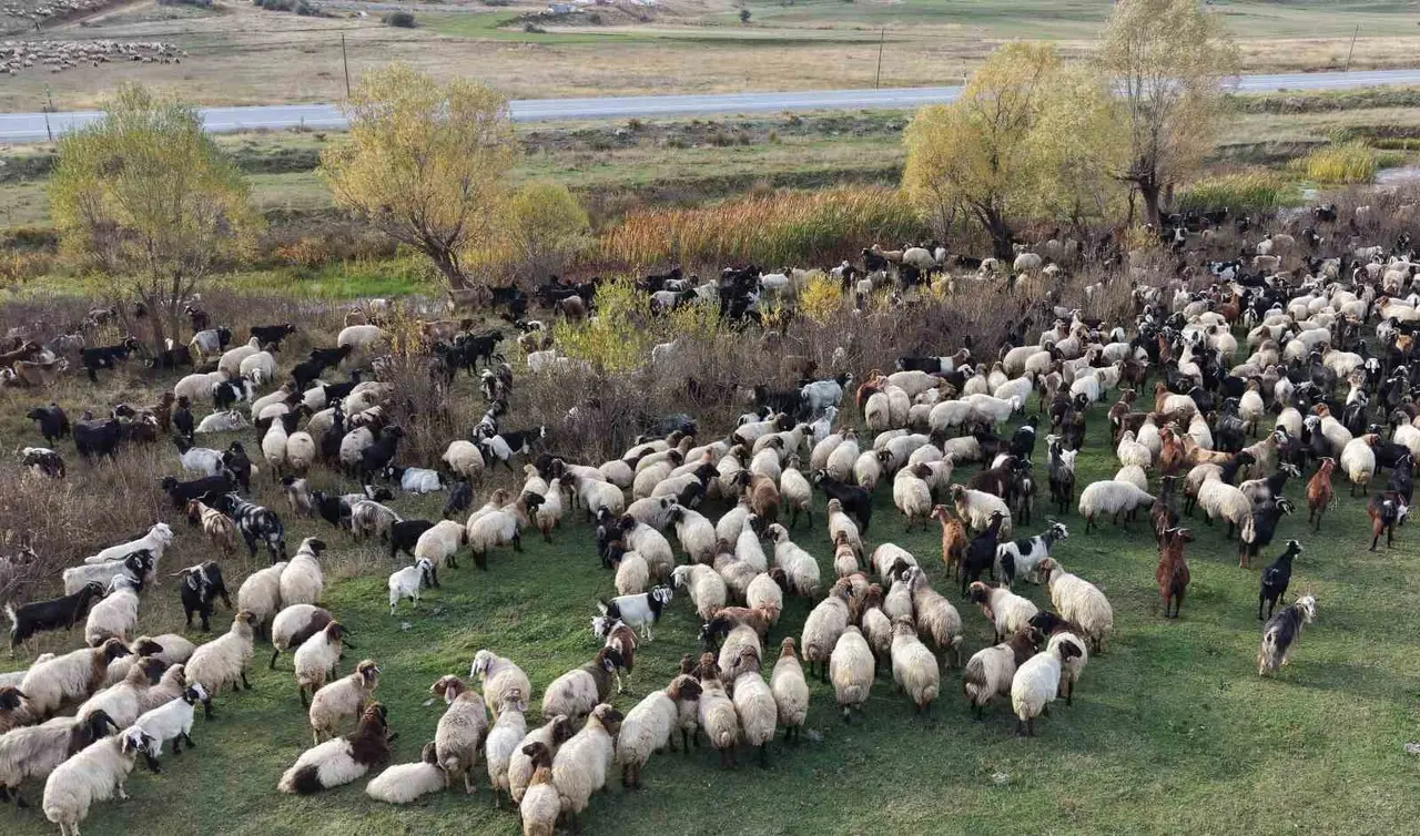 Göçerlerin Van’dan Siirt’e zorlu dönüş yolculuğu başladı