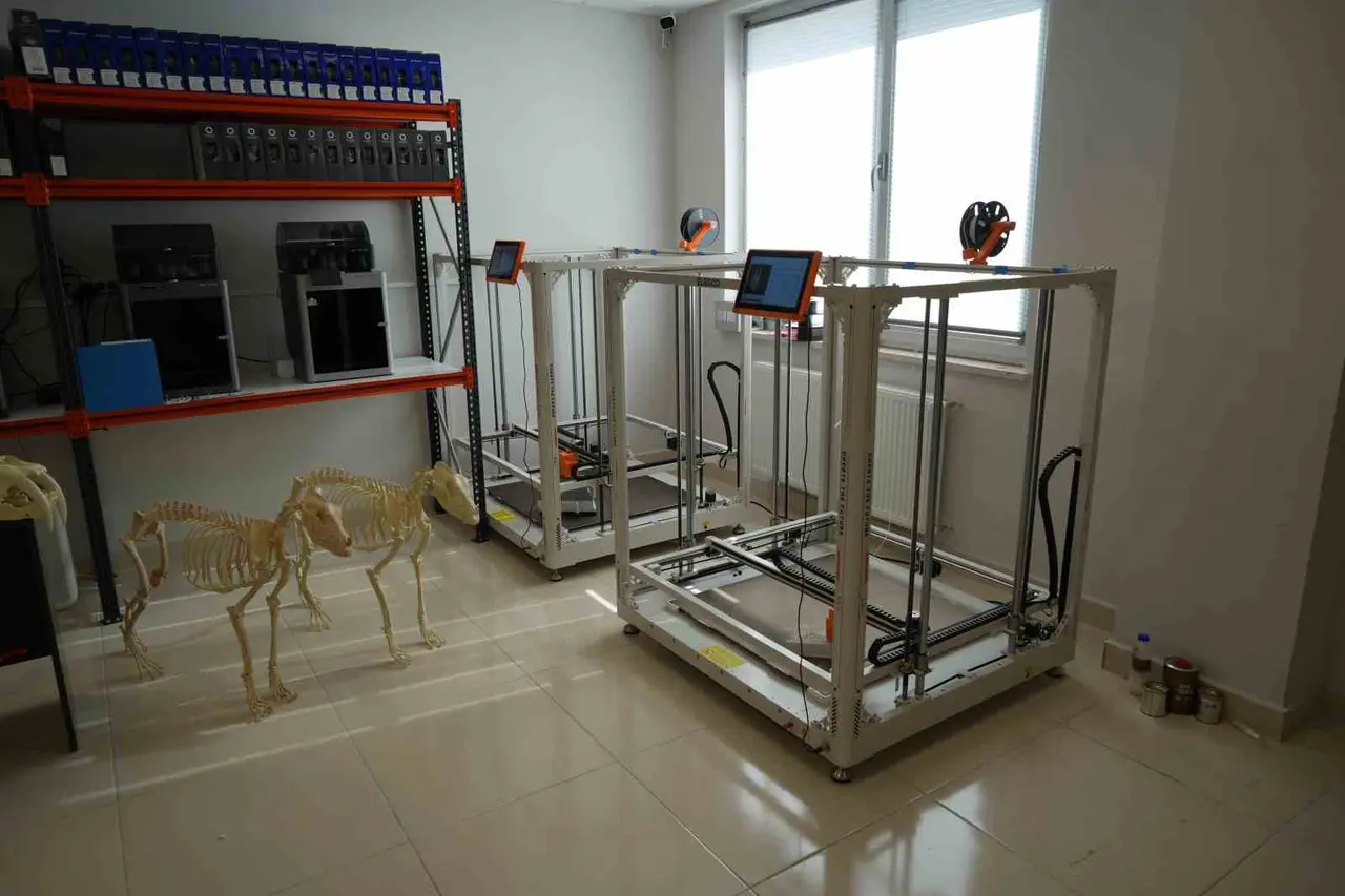 OMÜ’de hayvanların anatomik yapıları üç boyutlu yazıcıyla üretiliyor, eğitimde kullanılıyor