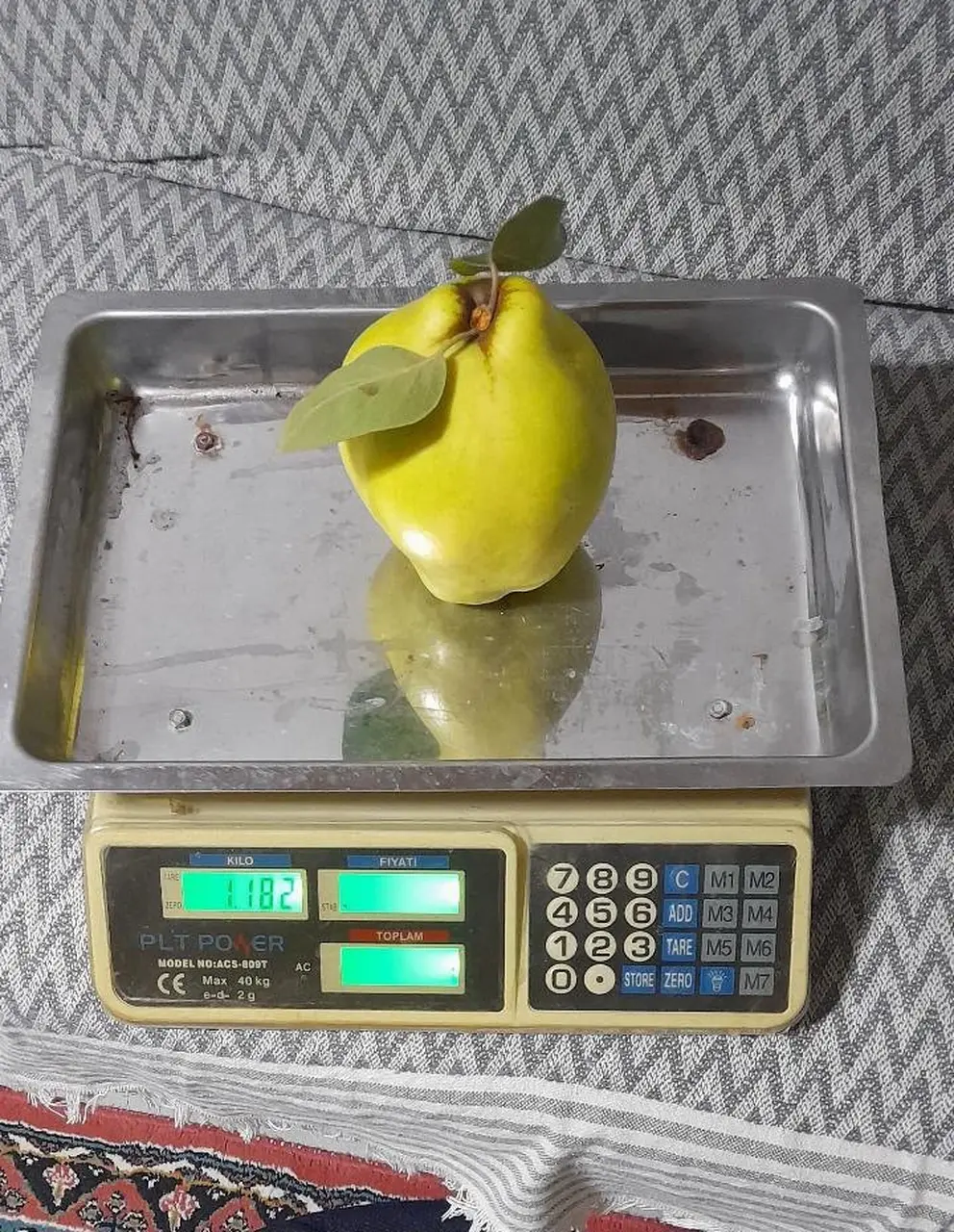Dalların altın sarısı tartıyı zorladı