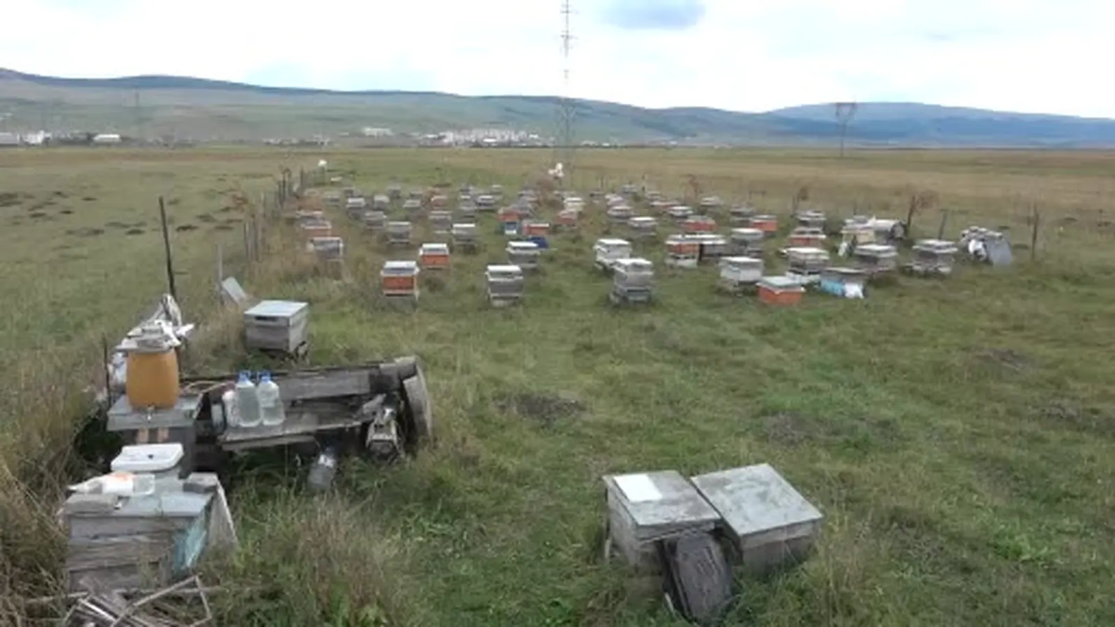 Ardahan’da bal hasadı bitti, 2027 sezonu için kış hazırlıkları başladı