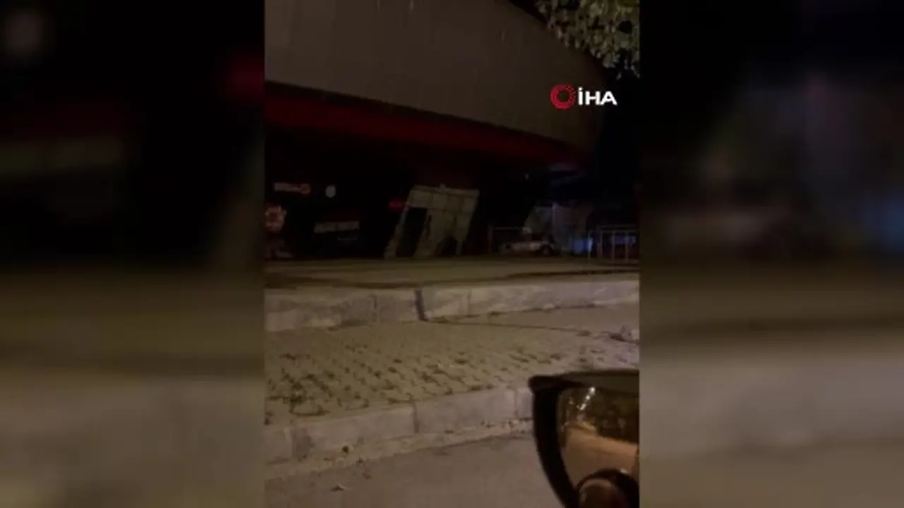 Tilkiler şehir merkezinde, ayılar köylerde görüldü