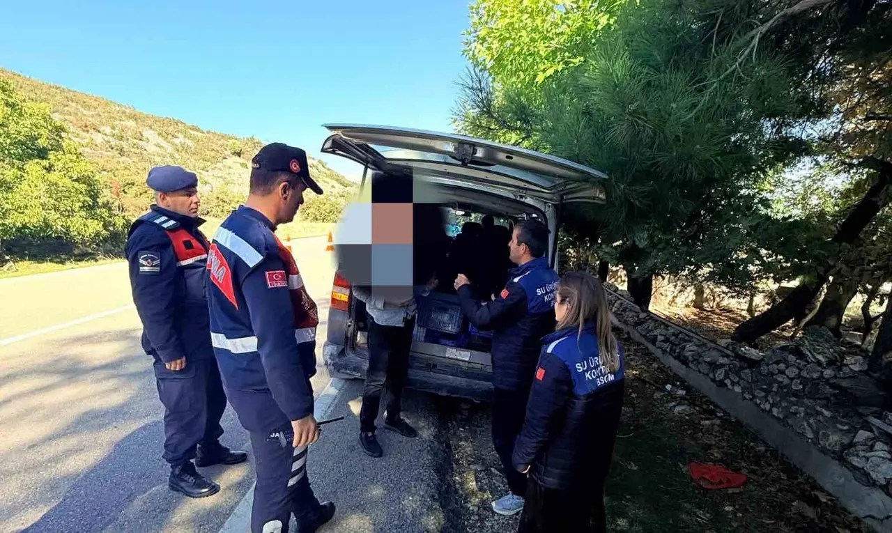 Eğirdir’de yol denetiminde 50 kilo gümüşi havuz balığı ele geçirildi