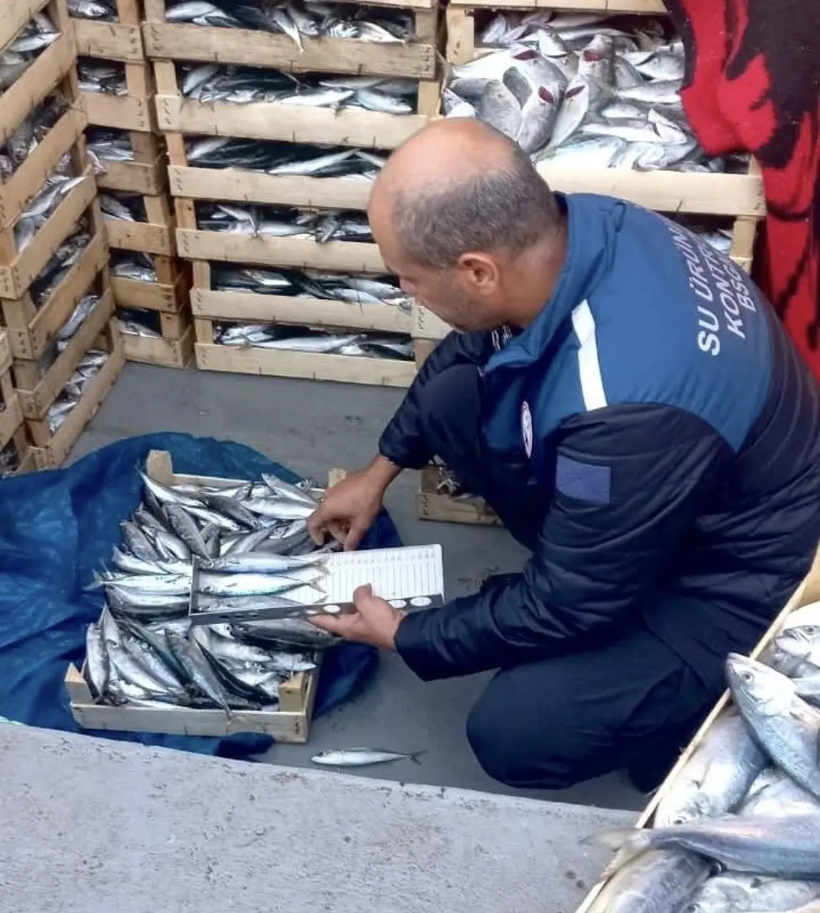 Mersin’de yasa dışı balık avcılığına karşı denetimler sürüyor