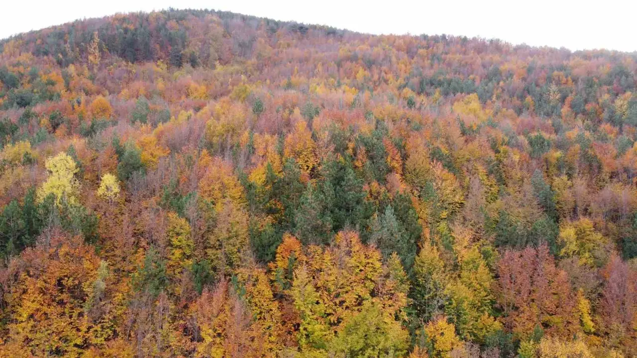 Bolu-Mudurnu kara yolunda sonbahar cümbüşü havadan görüntülendi