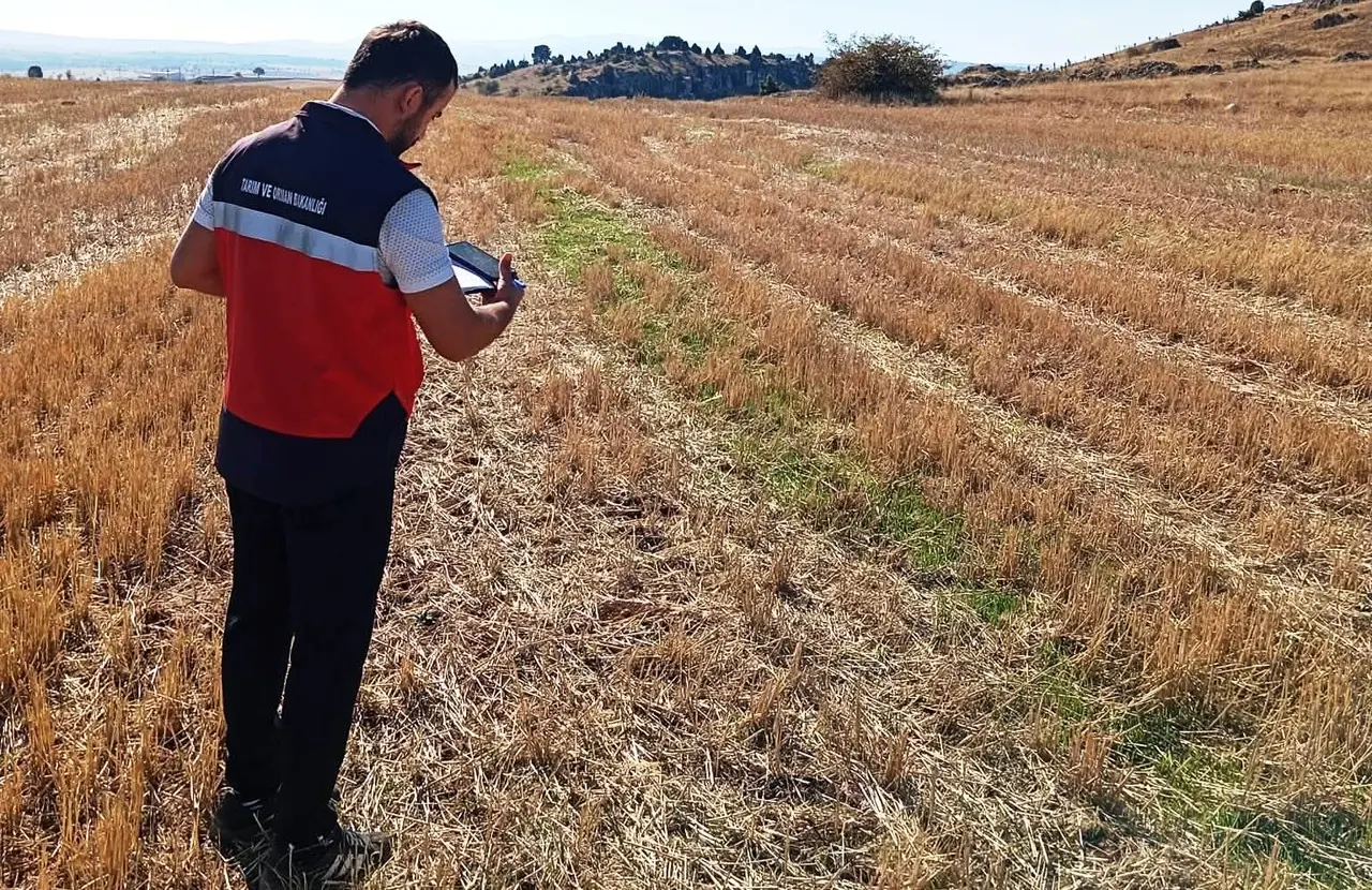 Çavdarhisar’da ürün beyan doğrulama çalışmaları sürüyor