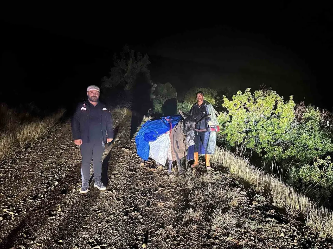 Elazığ’da dağlık alanda mahsur kalan çoban ve 200 küçükbaş hayvan kurtarıldı