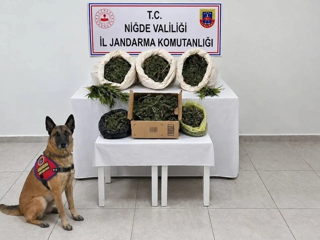 Niğde’de bir haftada 46 aranan şahıs yakalandı