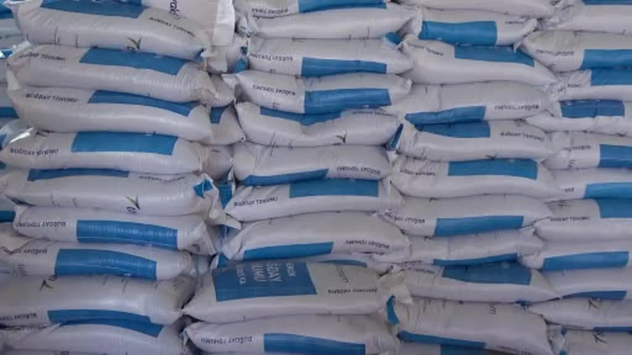 Ağrı’da üreticilere 550 ton buğday tohumu dağıtıldı