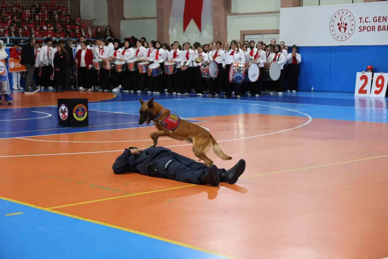 Nevşehir’de at çiftliklerinden 29 Ekim’e özel Türk bayraklı gösteri