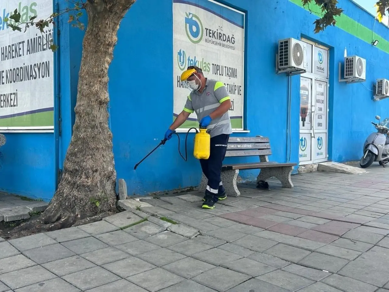Tekirdağ’daki otogarlarda haşere ve kemirgenlere karşı önlem