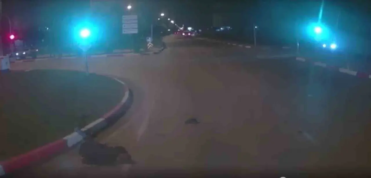 Elazığ’da kamyonun yayaya çarpma anı araç kamerasında