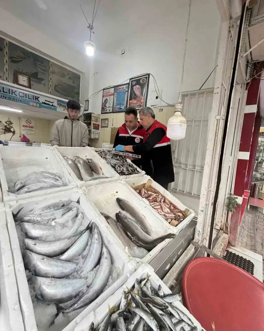 Adıyaman’da su ürünleri satış noktalarına denetim