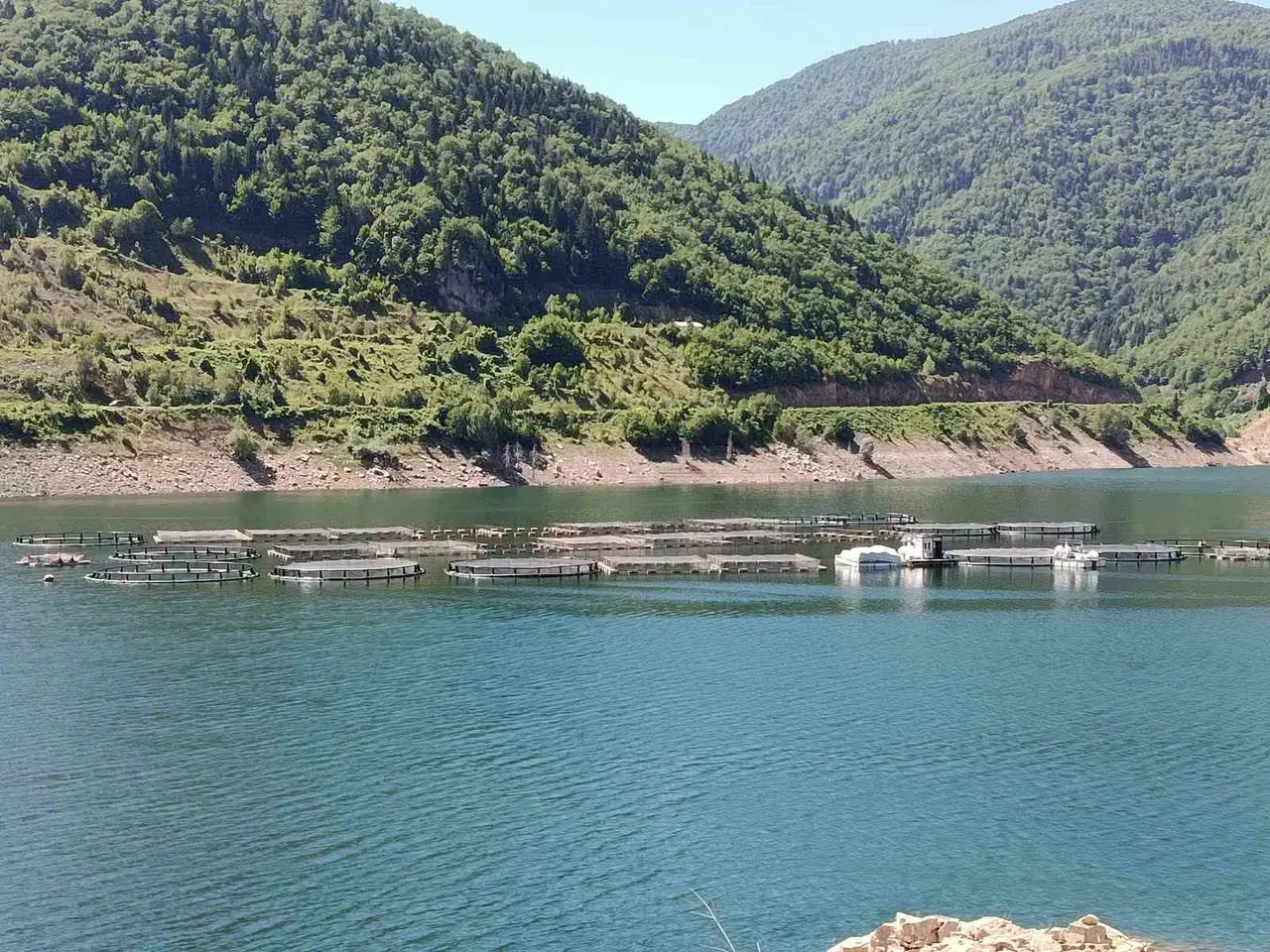 Ordu’da alabalık tesislerine denetim