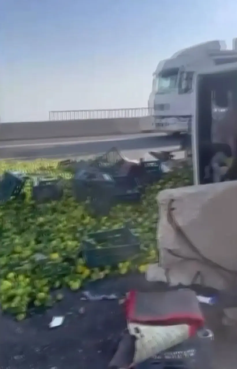 Gaziantep’te mandalina yüklü kamyon devrildi