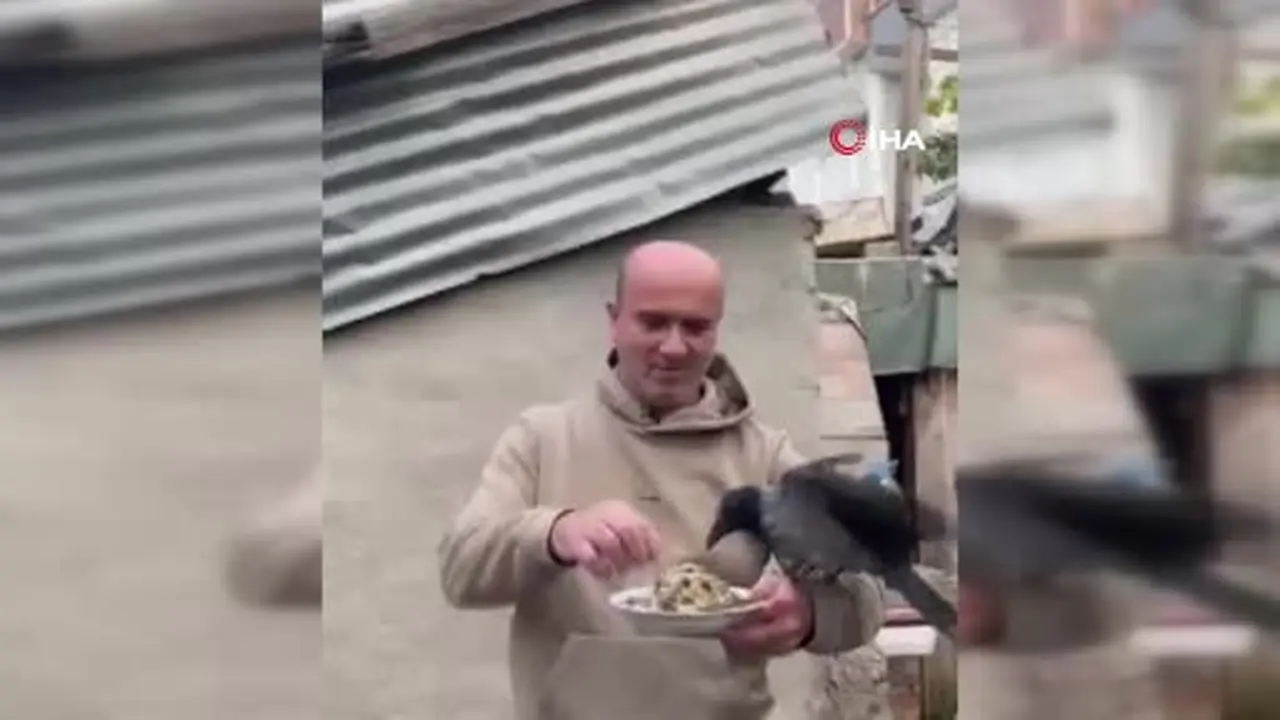 4 yıldır beslediği kargasına elleriyle balık yedirdi