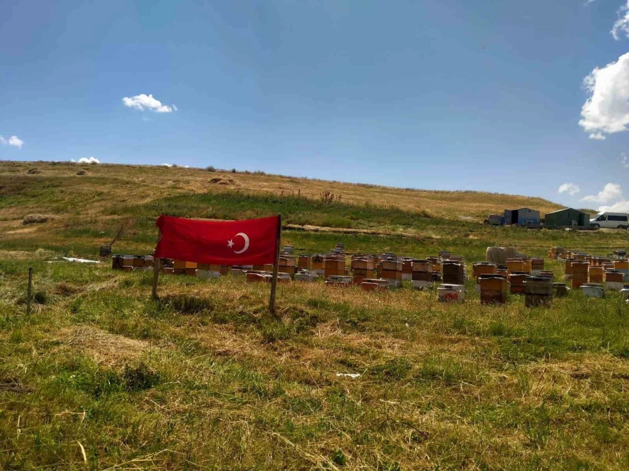 Ağrı ay yıldızlı bayraklarla donatıldı
