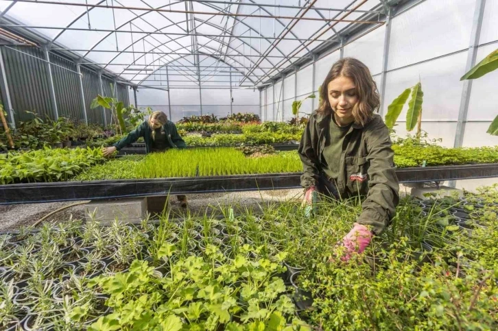 Ağrı&rsquo;da domates, Van&rsquo;da muz, Erzurum&rsquo;da &ccedil;ilek imkansız değil
