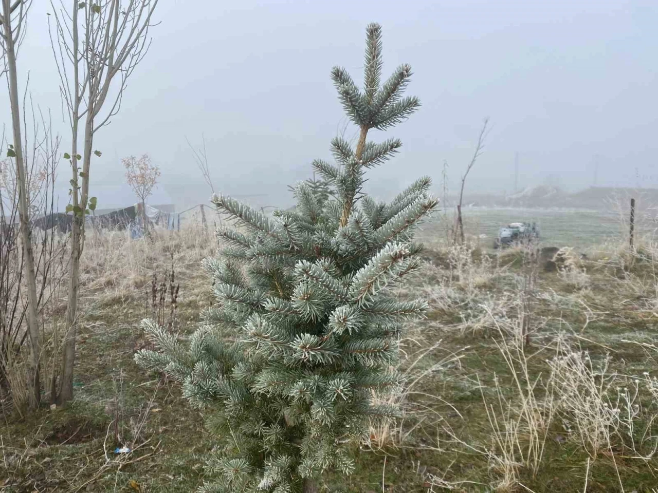 Ağrı’da kırağı etkili oldu
