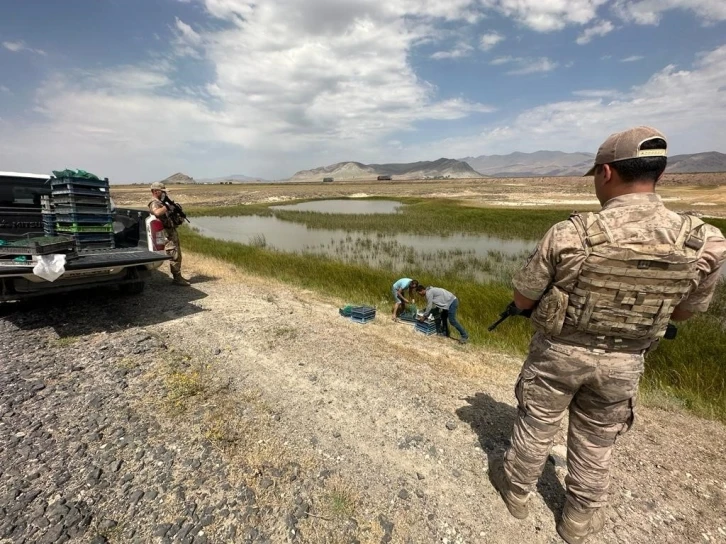 Ağrı&rsquo;da kurbağa avcılarına rekor ceza
